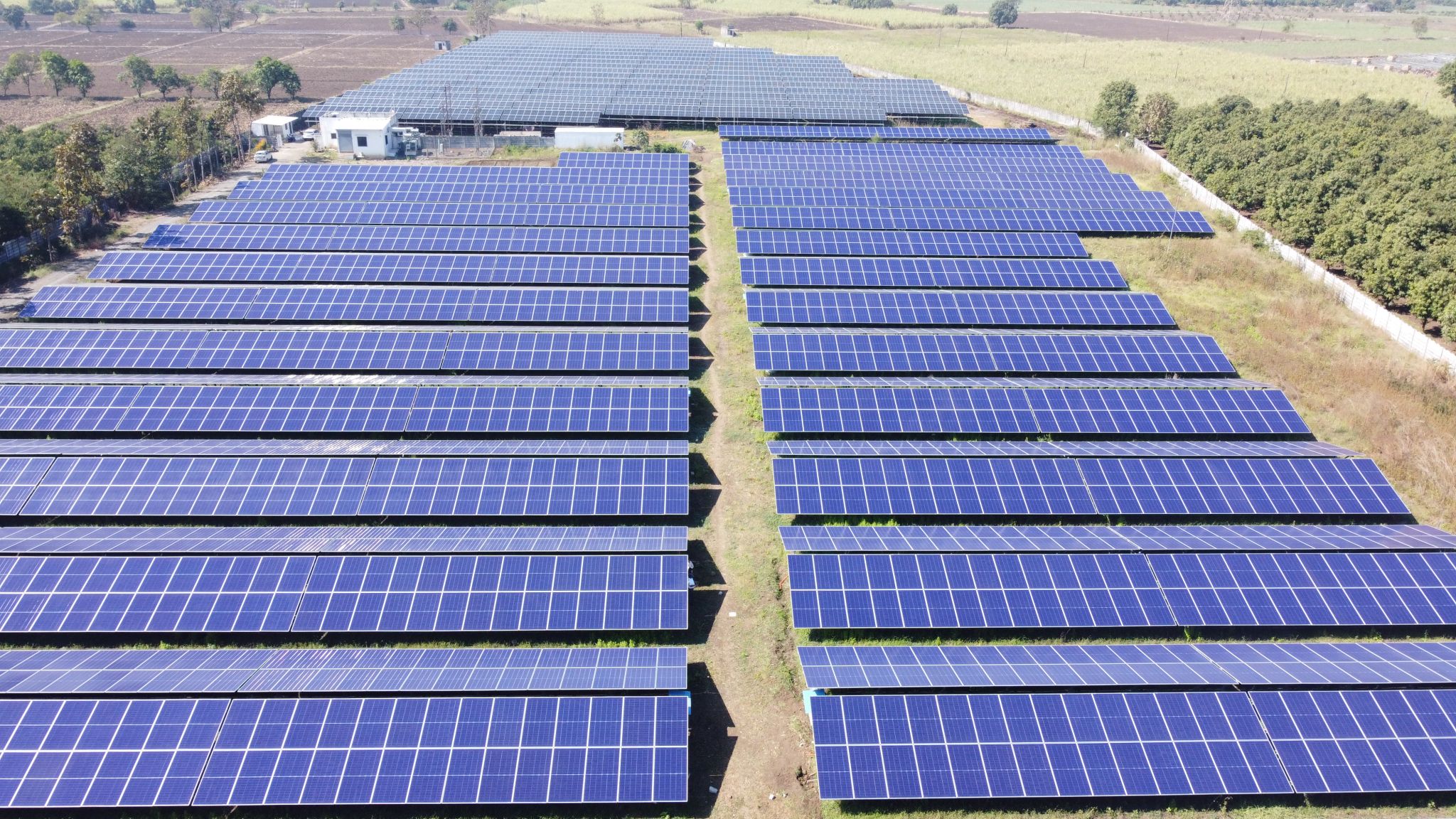 6 MW Agrovoltaic Solar Project by Kashyap Solar